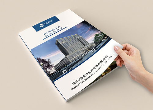 財(cái)務(wù)公司畫(huà)冊(cè)設(shè)計(jì)與企業(yè)形象策劃——代理做賬公司宣傳冊(cè)設(shè)計(jì)制作欣賞